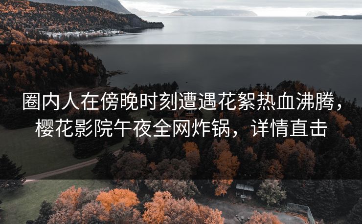 圈内人在傍晚时刻遭遇花絮热血沸腾，樱花影院午夜全网炸锅，详情直击