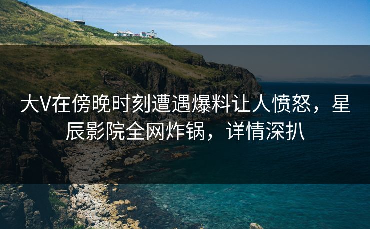 大V在傍晚时刻遭遇爆料让人愤怒，星辰影院全网炸锅，详情深扒