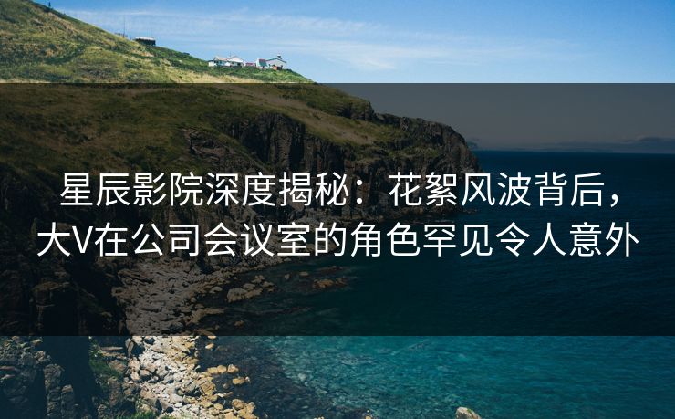星辰影院深度揭秘：花絮风波背后，大V在公司会议室的角色罕见令人意外