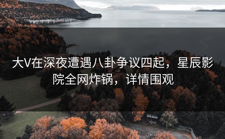 大V在深夜遭遇八卦争议四起，星辰影院全网炸锅，详情围观