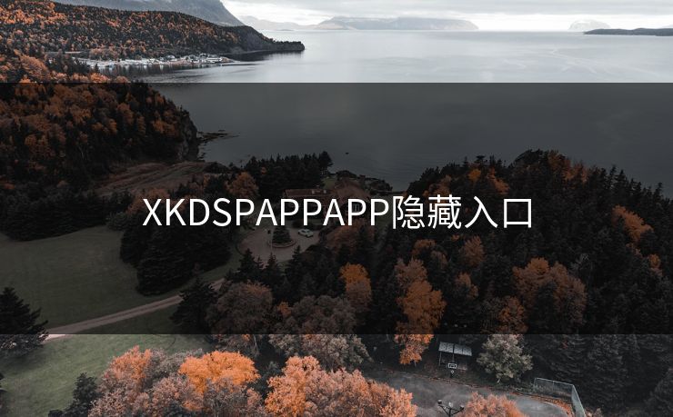 XKDSPAPPAPP隐藏入口