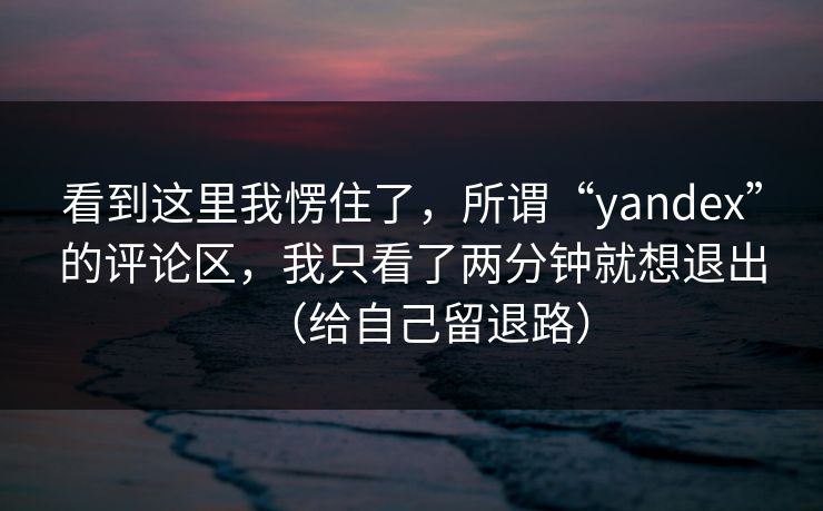 看到这里我愣住了，所谓“yandex”的评论区，我只看了两分钟就想退出（给自己留退路）