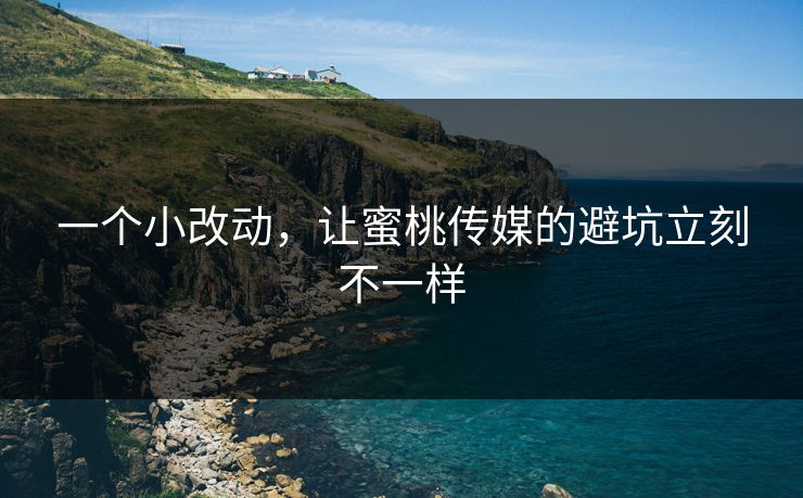 一个小改动，让蜜桃传媒的避坑立刻不一样