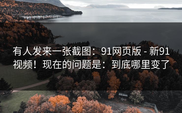 有人发来一张截图：91网页版 - 新91视频！现在的问题是：到底哪里变了